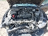 1FA6P8TH8R5****** Repairable 2024 Ford Mustang in McAllen