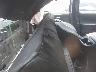 3TMCZ5AN7PM****** Destrozados 2023 Toyota Tacoma en Atlanta South