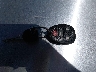 2G1WB5E37E1****** Salvamento 2014 Chevrolet Impala en Estado de Kansas