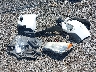 JF2SJAAC3EH****** Destrozados 2014 Subaru Forester en Estado de Virginia