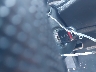 19XFC2F60LE****** Salvamento 2020 Honda Civic en Estado de Ohio