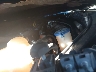 3FA6P0T95KR****** Repairable 2019 Ford Fusion in Greenville