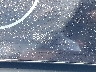 5NMJCCDEXTH****** Salvage 2026 Hyundai Tucson
