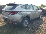 5NMJACDE4RH****** Salvamento y Destrozados 2024 Hyundai Tucson en Estado de Nueva Jersey