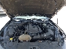 1FA6P8TH1F5****** Reparables 2015 Ford Mustang en Austin North