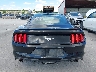 1FA6P8TH1F5****** Usados 2015 Ford Mustang