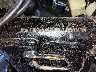 MLHJC6118F5****** Reparables 2015 Honda Grom en Rec Rides Online Exclusive