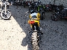 MLHJC6118F5****** Salvamento y Reparables 2015 Honda Grom en Estado de California