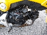 MLHJC6118F5****** Destrozados 2015 Honda Grom en Rec Rides Online Exclusive