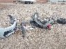 3VW6T7AU2LM****** Wrecked 2020 Volkswagen Golf GTI in Texas State