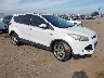 1FMCU0J96EU****** Salvage and Wrecked 2014 Ford Escape in San Diego