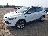 1FMCU0J96EU****** Used and Repairable 2014 Ford Escape in San Diego