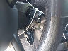 ZACCJBBT4FP****** Salvage 2015 Jeep Renegade in New York State