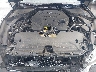 JN1EV7APXMM****** Repairable 2021 Infiniti Q50 in Clearwater