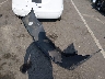 5YFBURHE4JP****** Wrecked 2018 Toyota Corolla in North Carolina State