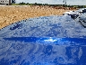JF2SLDHC4SH****** Salvage and Repairable 2025 Subaru Forester in Missouri State