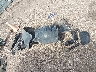 2G1FD1E31F9****** Destrozados 2015 Chevrolet Camaro en Estado de Texas