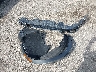 7FARS5H54RE****** Wrecked 2024 Honda CR-V in Florida State