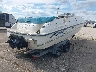 00000USPB69****** Salvage and Wrecked 1998 Bayliner Other in Illinois State