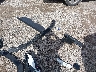JTM6CRAV1TD****** Salvage and Wrecked 2026 Toyota RAV4 in Houston North