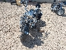 1HD1FR41X7Y****** Used and Repairable 2007 Harley-Davidson FLHRCI in Texas State