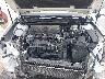 4T1K61AK8LU****** Reparables 2020 Toyota Camry en Baton Rouge