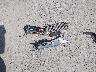 2GNAXLEX7K6****** Wrecked 2019 Chevrolet Equinox in Kentucky State