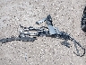 1G1ZF5SX4GF****** Wrecked 2016 Chevrolet Malibu in Texas State