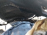 JF2SKAJC7PH****** Salvamento 2023 Subaru Forester en Denver East