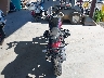 WB10N5303R6****** Salvage and Repairable 2024 BMW R 12 in Washington State