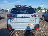 JF2GTHSC8PH****** Salvamento y Destrozados 2023 Subaru Crosstrek en Culpeper