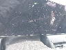 3KPFU4DE0SE****** Salvage 2025 Kia K4 in High Point