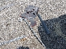 5N1DR2MN5HC****** Destrozados 2017 Nissan Pathfinder en Estado de Carolina del Sur