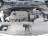 5XYPGDA36KG****** Repairable 2019 Kia Sorento in Greensboro