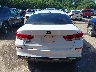 5XXGT4L32KG****** Wrecked 2019 Kia Optima