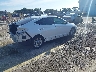 5NPD84LF2LH****** Salvage and Wrecked 2020 Hyundai Elantra in Florida State