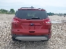 1FMCU9GX1EU****** Destrozados 2014 Ford Escape