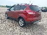 1FMCU9GX1EU****** Salvamento y Reparables 2014 Ford Escape en Milwaukee