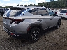 5NMJFCDE7RH****** Salvage and Wrecked 2024 Hyundai Tucson in Massachusetts State