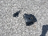 1G1PG5S92B7****** Destrozados 2011 Chevrolet Cruze en Estado de Iowa