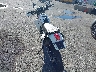 JH2RD0607RK****** Salvage and Repairable 2024 Honda XR650L in New York State