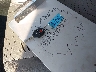 JF2SJAHCXEH****** Salvage 2014 Subaru Forester in South Carolina State