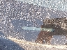 JF2SJAHCXEH****** Used 2014 Subaru Forester in Charleston