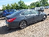 1N4AL3AP7HC****** Salvage and Wrecked 2017 Nissan Altima in Minnesota State