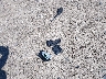 JF2GPAVC5D2****** Wrecked 2013 Subaru XV Сrosstrek in Wisconsin State
