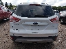 1FMCU9G94DU****** Wrecked 2013 Ford Escape