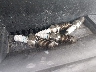 2T3WFREV8EW****** Salvamento y Destrozados 2014 Toyota RAV4 en Houston North