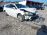 4T1BK1EB4EU****** Salvage and Wrecked 2014 Toyota Avalon in West Palm Beach