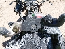 WB10558A03Z****** Salvage 2003 BMW K1200GT in Tucson