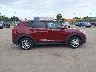 KM8J23A47KU****** Usados 2019 Hyundai Tucson en Estado de Florida